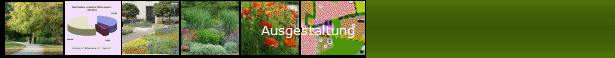 Ausgestaltung