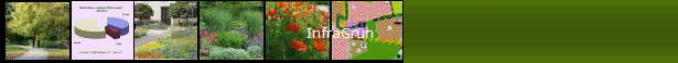 InfraGrün