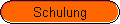 Schulung